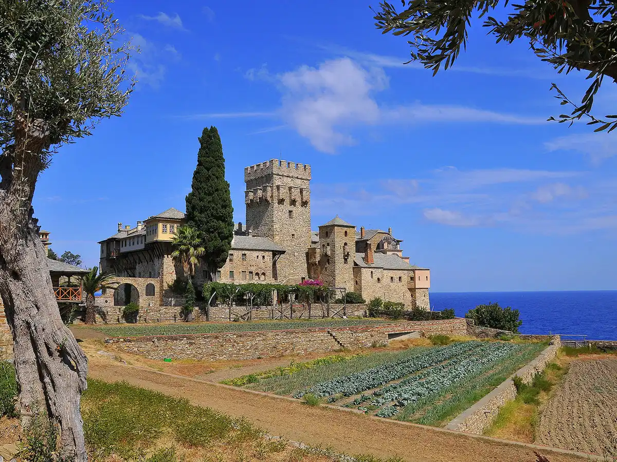 Scenic view of the historic Stavronikita Monastery with its stone tower, surrounded by cultivated green gardens, an olive tree in the foreground, and the blue sea under a sunny sky in Mount Athos.